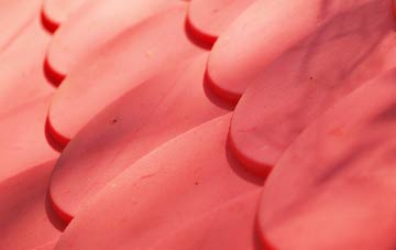 Arlington plastic roof costs