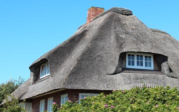 thatch roofing Arlington